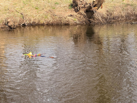 Společný den radosti